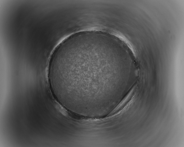 X0000087711216200705111415