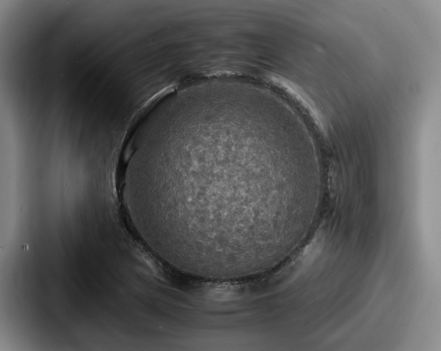 X0000087711217200705111415