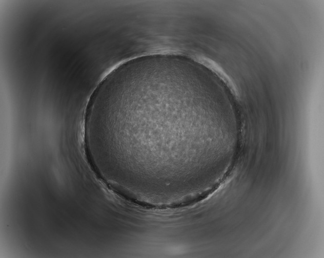 X0000087711220200705111415