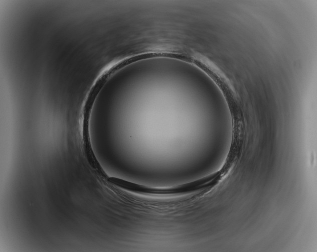 X0000087711222200705111415
