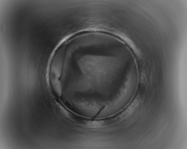 X0000087711224200705111415