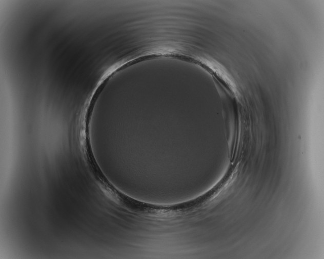 X0000087711226200705111415