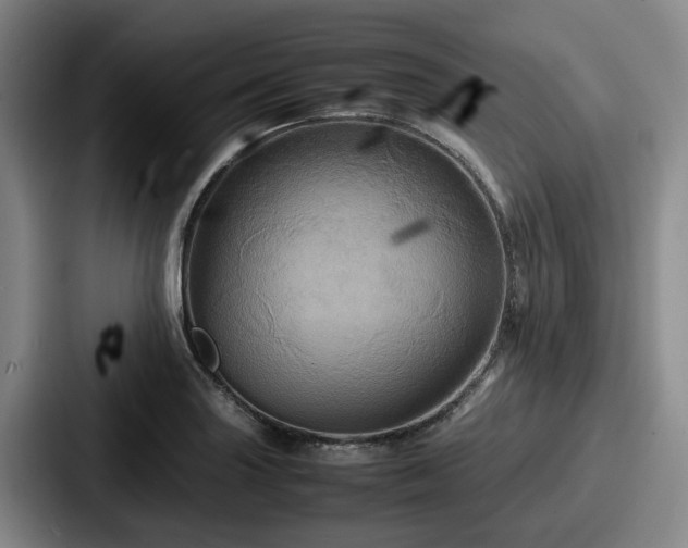 X0000087711227200705111415