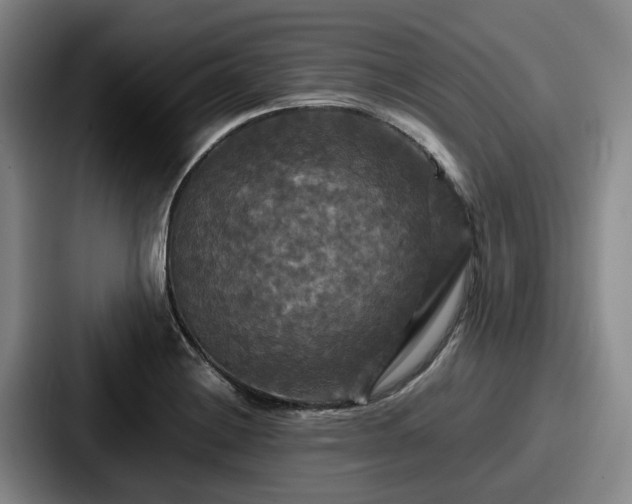 X0000087711228200705111415
