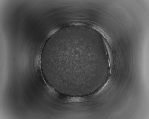 X0000087711233200705111415
