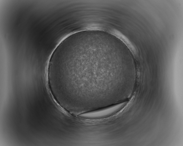 X0000087711236200705111415
