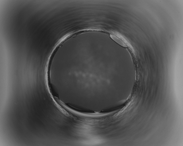 X0000087711237200705111415