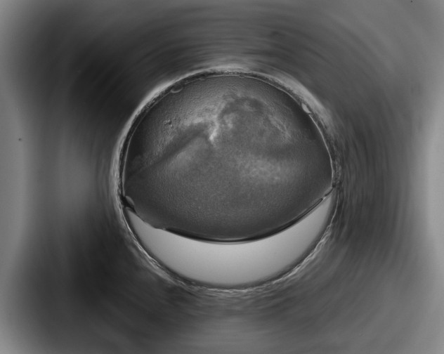 X0000087711240200705111415