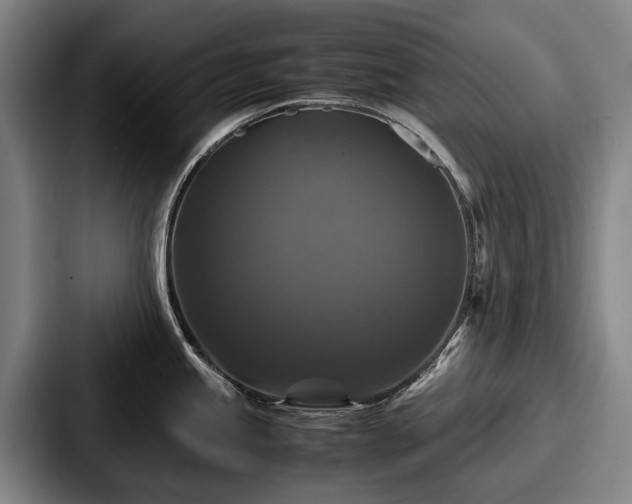 X0000087711245200705111415