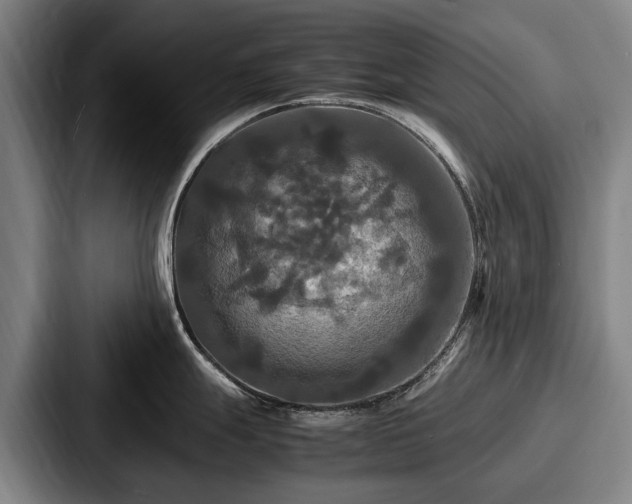 X0000087711247200705111415