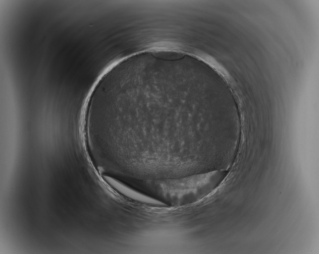 X0000087711248200705111415