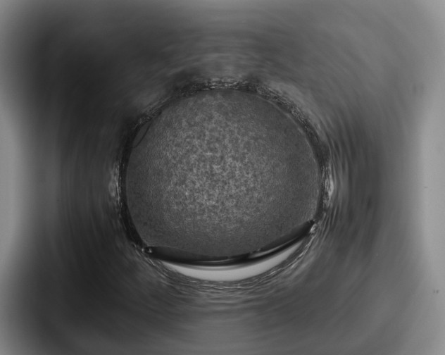 X0000087711252200705111415