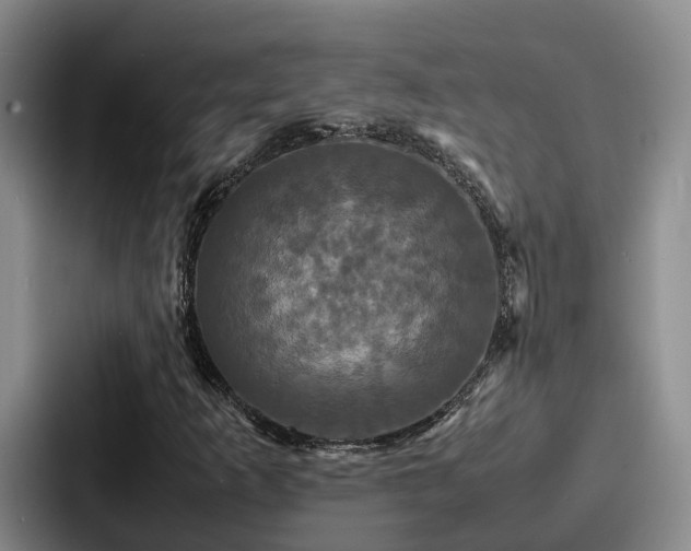 X0000087711253200705111415