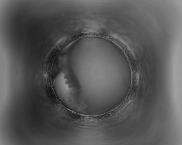 X0000087711254200705111415