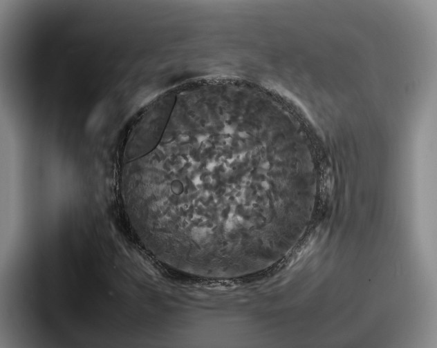 X0000087711255200705111415