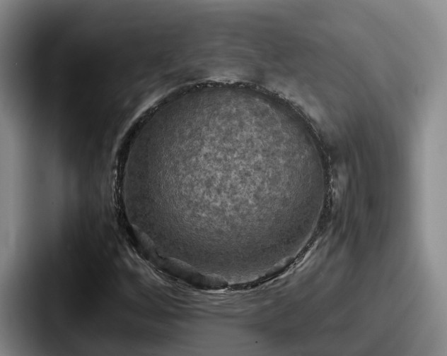 X0000087711256200705111415