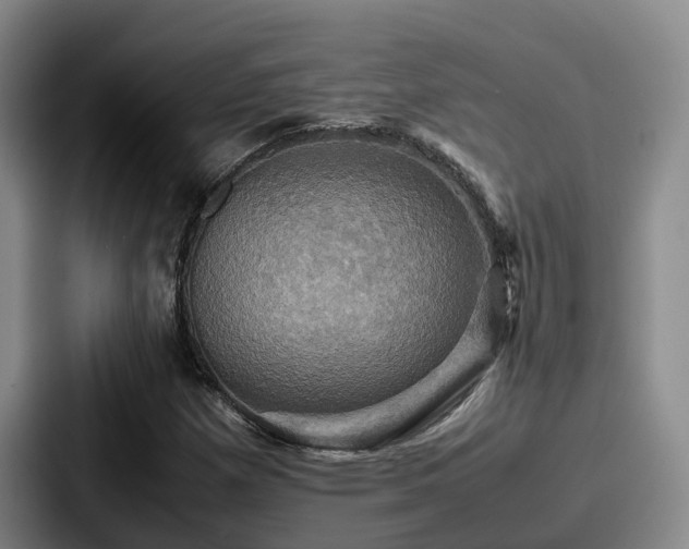 X0000087711257200705111415