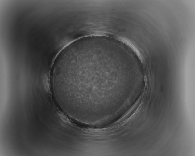 X0000087711260200705111415