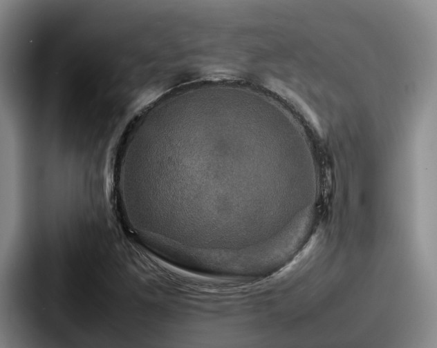 X0000087711261200705111415