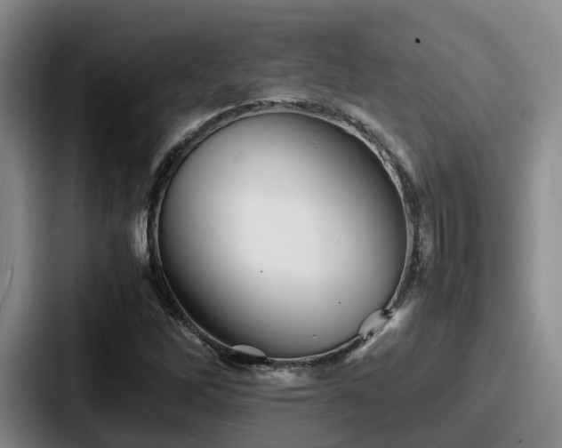 X0000087711262200705111415