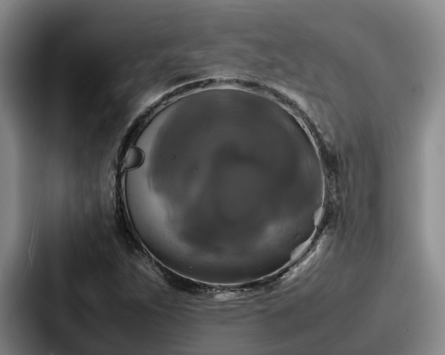 X0000087711263200705111415