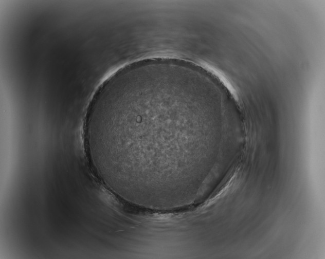 X0000087711264200705111415