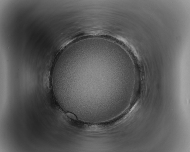 X0000087711265200705111415