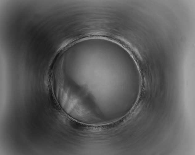 X0000087711266200705111415