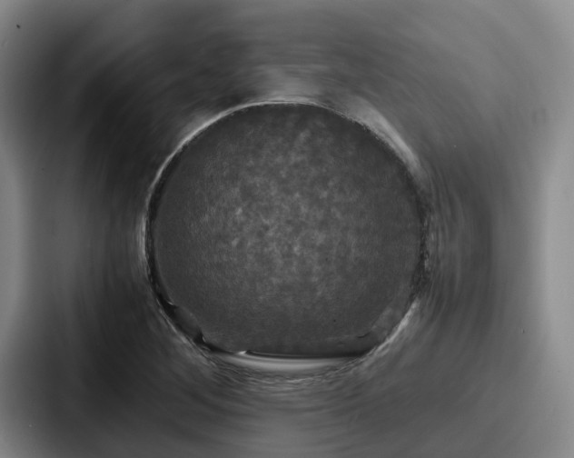X0000087711268200705111415