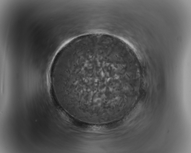 X0000087711271200705111415