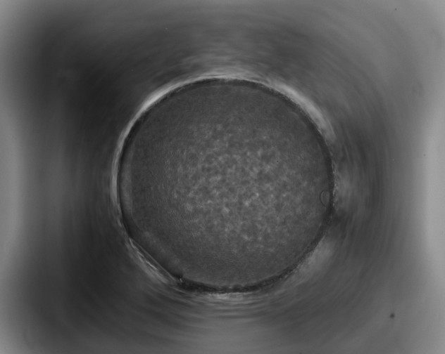 X0000087711272200705111414