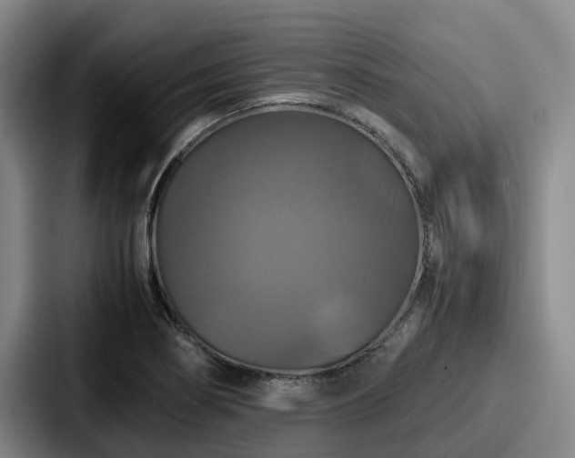 X0000087711274200705111414