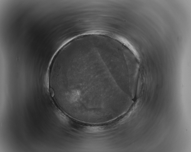X0000087711276200705111414