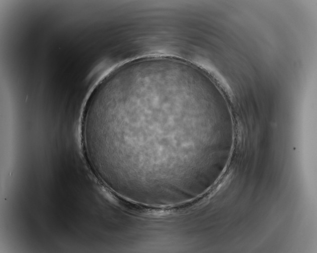 X0000087711278200705111414