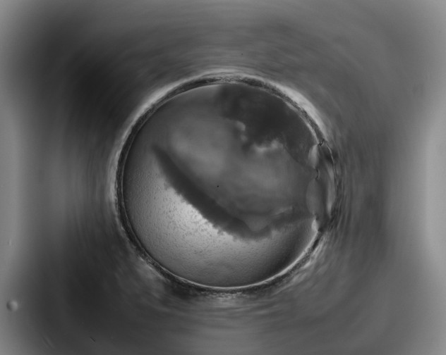 X0000087711279200705111414
