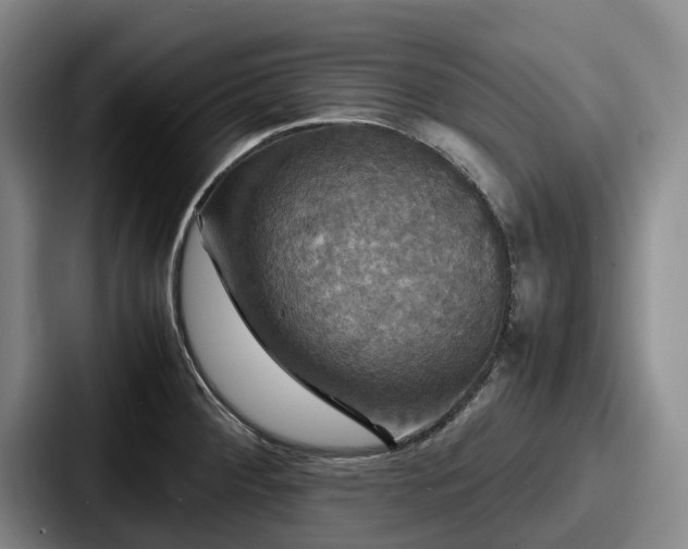 X0000087711284200705111414