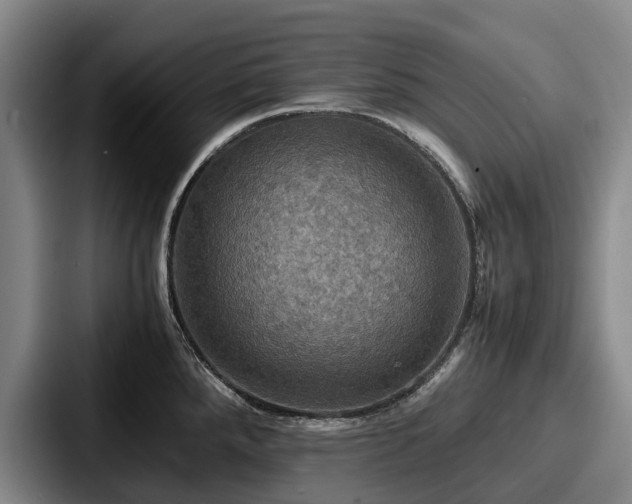 X0000087711288200705111414