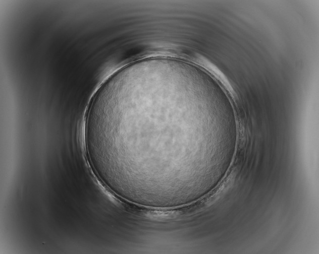 X0000087711290200705111414