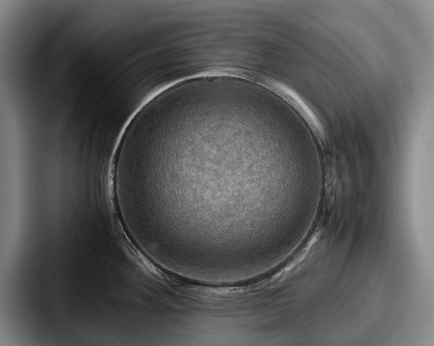 X0000087711292200705111414