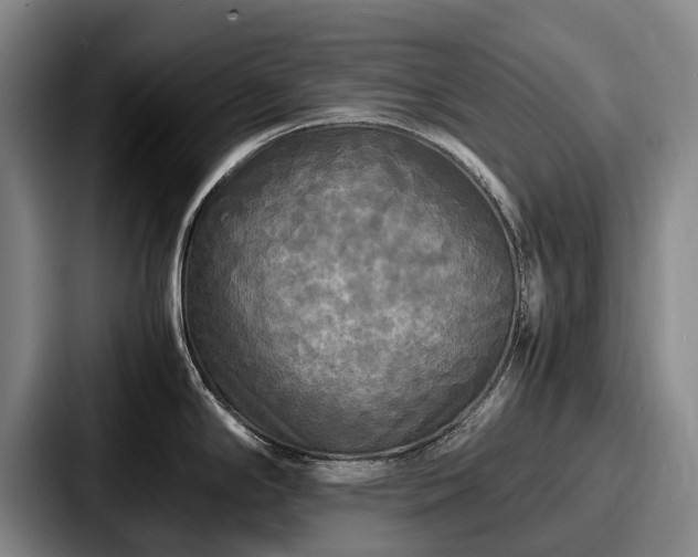 X0000087711294200705111414