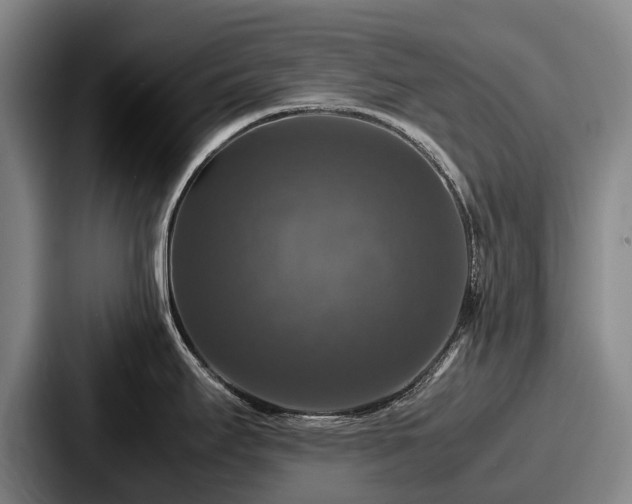 X0000087711295200705111414