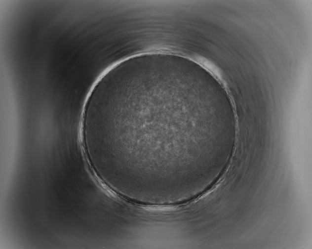 X0000087711296200705111414