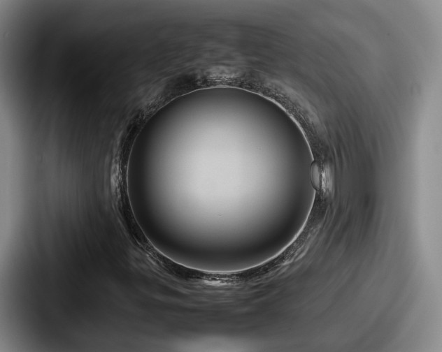 X0000087711299200705111414