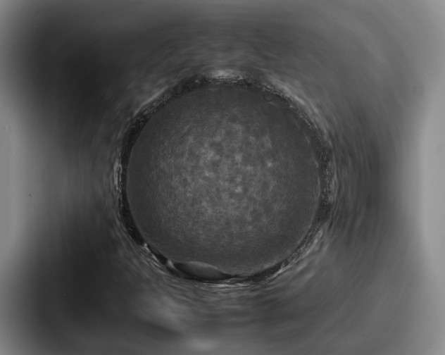 X0000087711301200705111414