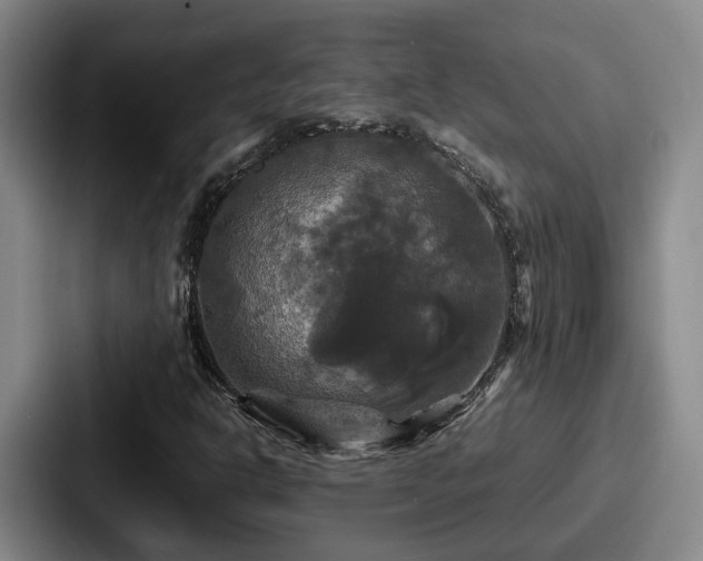 X0000087711302200705111414