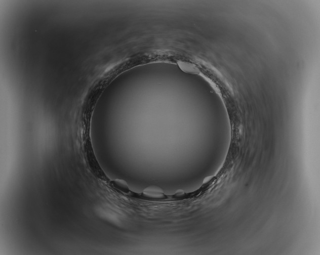 X0000087711303200705111414