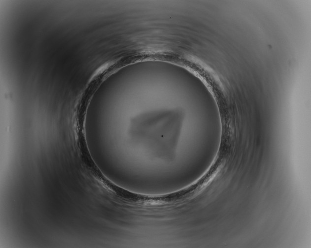 X0000087711306200705111414