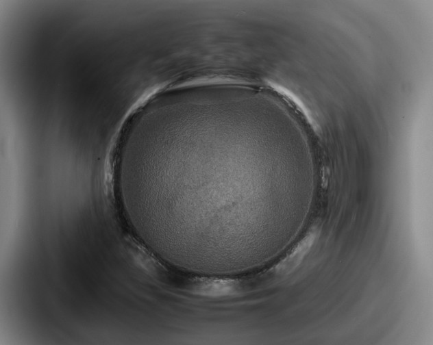 X0000087711309200705111414