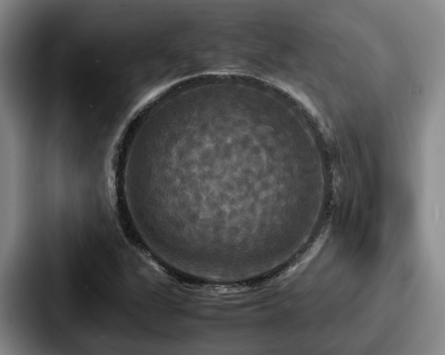 X0000087711311200705111414