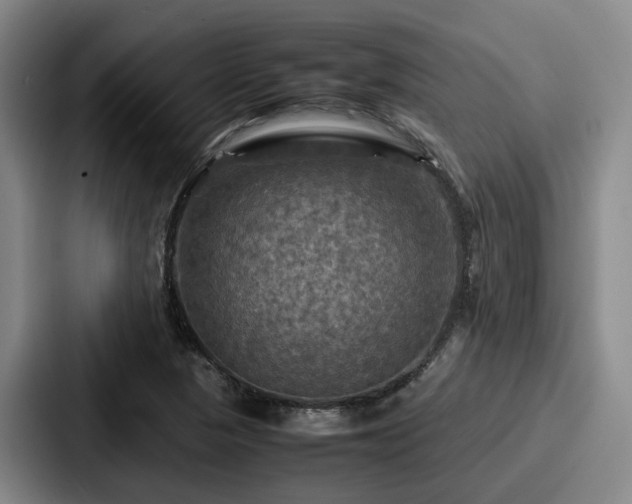X0000087711313200705111414